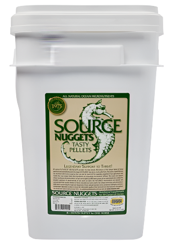 Source Nugget Skin, Coat & Hoof Care Horse Supplement, 25-lb bucket