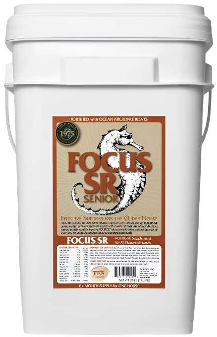 Source FOCUS SR SENIOR Horse Supplement, 25-lb bucket